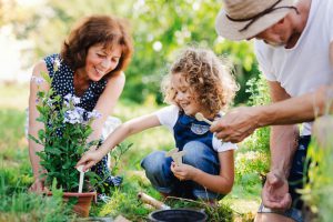 Grandparents’ Rights: Want access to your grandchild?